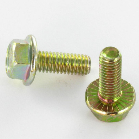 1 x Vis métaux Tête hexagonale TH M6X8 Embase collerette crantée Classe 8.8 Bichromaté