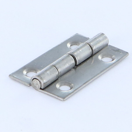 1 x Charnière Rectangulaire 30X19 Inox