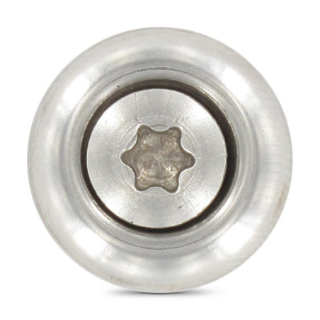 1 x Vis faitage Tête fraisée bombée TFB TORX T20 Inox A2 4.5X100 Rondelle d'étanchéite EPDM 3P