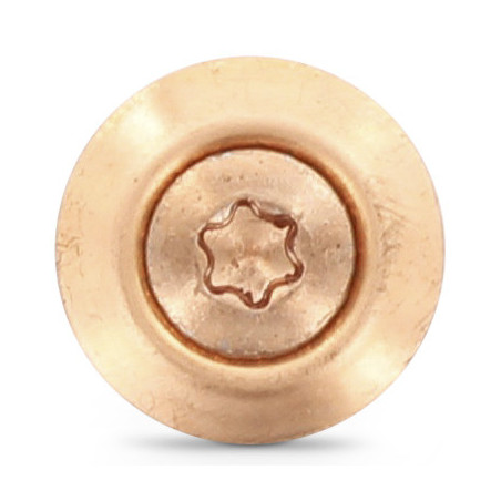 1 x Vis faitage Tête fraisée bombée TFB TORX T20 Inox A2 cuivre 4.5X150 Rondelle d'étanchéite EPDM 3P