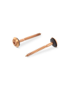 Vis faitage Tête fraisée bombée TFB TORX T20 Inox A2...