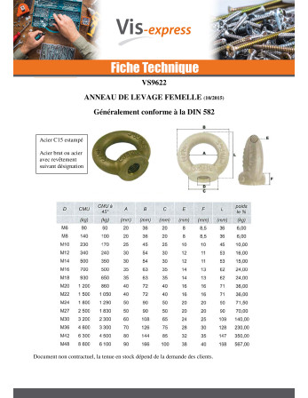 Anneau de levage Femelle M22 Acier zingué