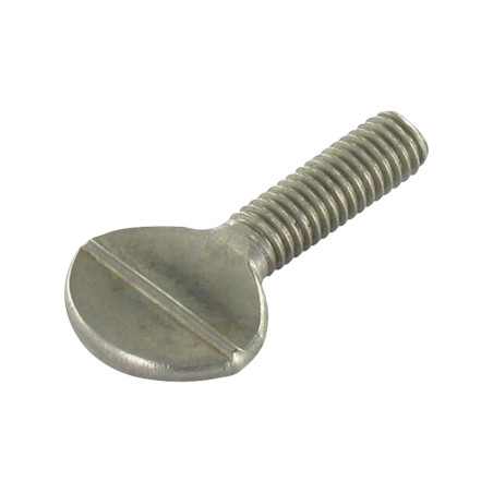 1 x Vis VIOLON M4X10 Inox A2
