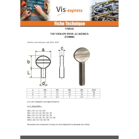1 x Vis VIOLON M4X10 Inox A2
