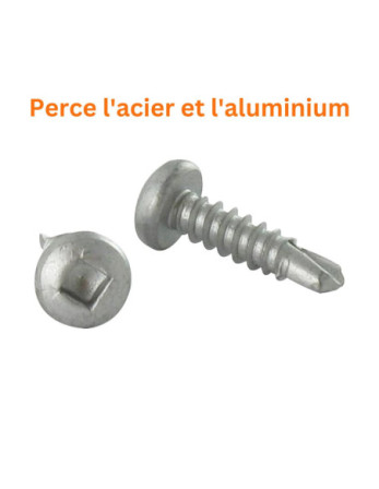 Vis autoperceuse Tête cylindrique TC Carré 4.2X16 Inox AISI 410