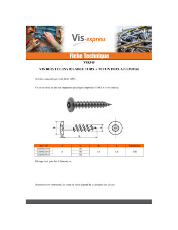 Vis Penture Inviolable TORX T30 avec téton 6X30 Inox A2