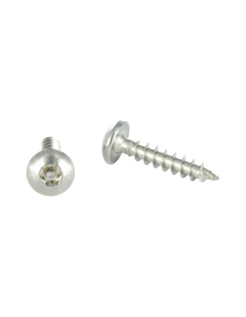 Vis Penture Inviolable TORX T30 avec téton 6X40 Inox A2