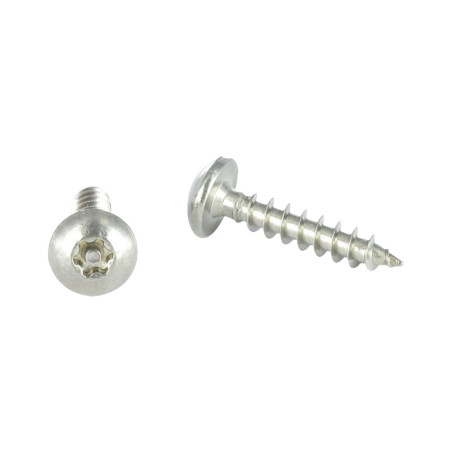 1 x Vis Penture Inviolable TORX T30 avec téton 6X40 Inox A2