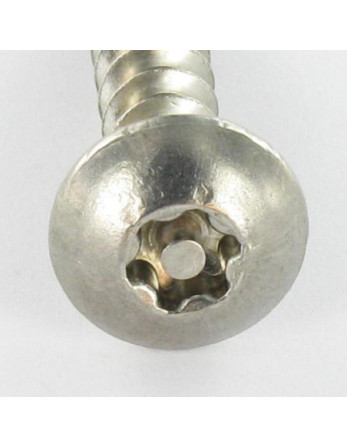 Vis Penture Inviolable TORX T30 avec téton 6X40 Inox A2