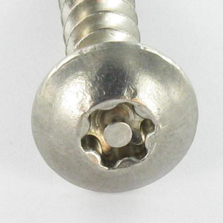 1 x Vis Penture Inviolable TORX T30 avec téton 6X40 Inox A2
