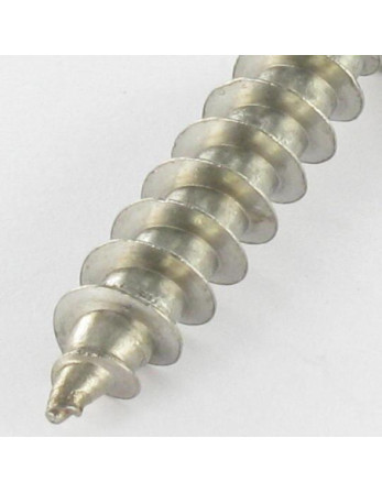 Vis Penture Inviolable TORX T30 avec téton 6X40 Inox A2
