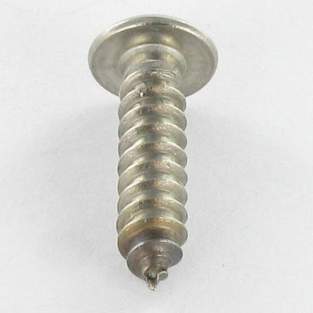 1 x Vis tôle Inviolable Inox A2 Tête cylindrique TC TORX T25 avec téton 4.8X13