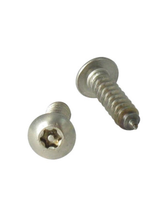 Vis tôle Inviolable Inox A2 Tête cylindrique TC TORX T25 avec téton 4.8X19