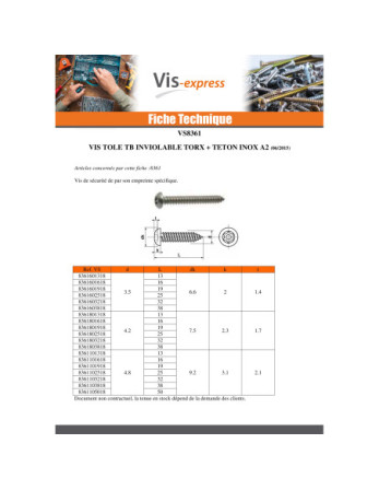 Vis tôle Inviolable Inox A2 Tête cylindrique TC TORX T10 avec téton 3.5X25