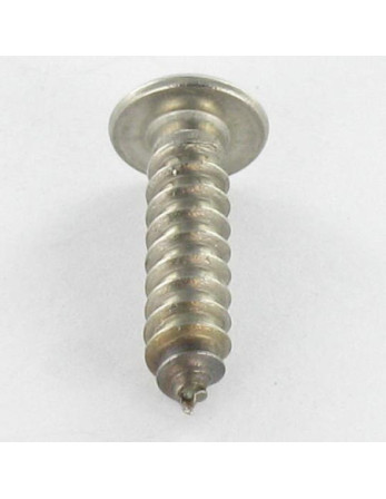 Vis tôle Inviolable Inox A2 Tête cylindrique TC TORX T15 avec téton 4.2X16