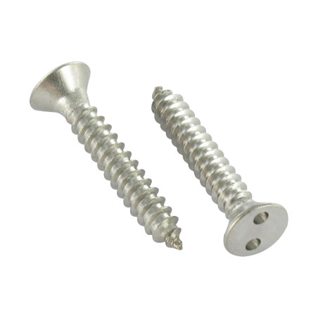 1 x Vis tôle Inviolable Tête fraisée Snake eyes 3.5X19 Inox A2