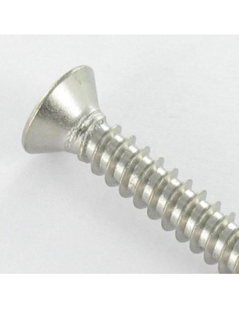 Vis tôle Inviolable Tête fraisée Snake eyes 3.5X25 Inox A2