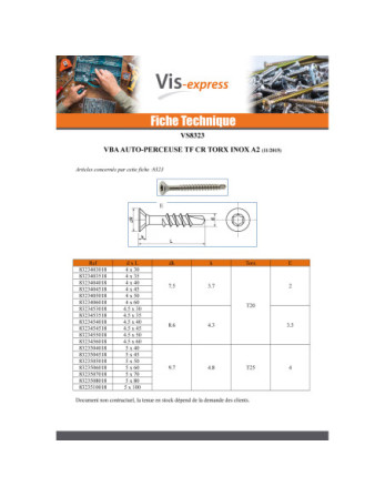 VBA Vis bois agglo Vis autoperceuse Tête fraisée Cranté 5X100 TORX T25 Inox A2