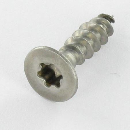 1 x VBA Vis bois agglo Inox A2 Tête fraisée 6X180 TORX T25