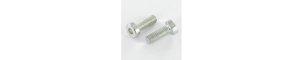 Vis CHC BTR En Inox A2 - DIN 7984 Tête Réduite M6 X 30mm - Lot De 10 - Neuf
