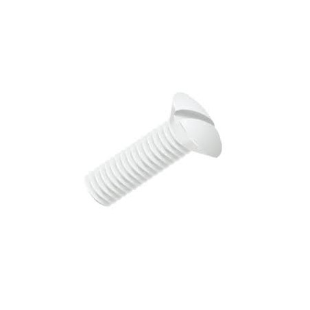 Vis métaux Nylon Tête fraisée bombée TFB Fendue Polyamide 6.6 DIN 964 NFE25-124, DIN964