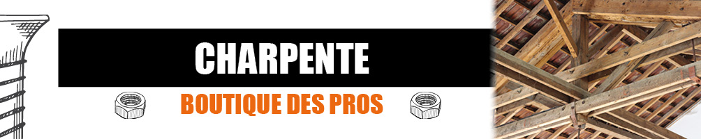 Activité charpente